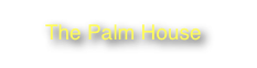 The Palm House                             